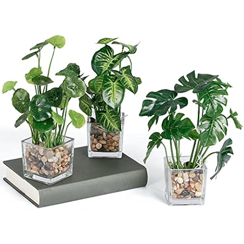 SOMYTING 3 x Artificial Plants Succulent Faux Tabletop Greenery with Clear Glass Pots Silk Plants in Glass Vase Fake Green Plants Potted Plants for Home Textiles Cover