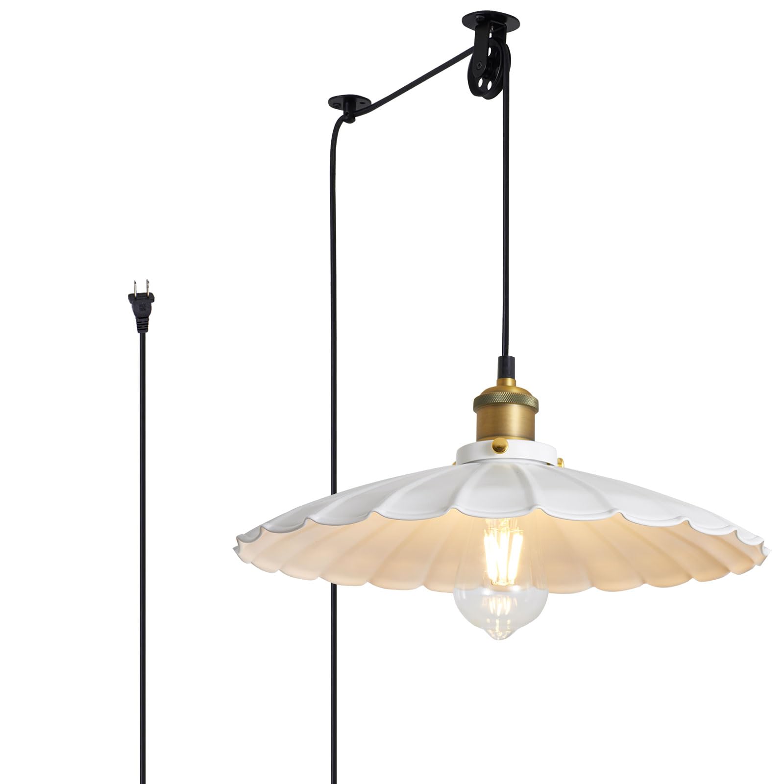 Oyisen Hanging Plug in Pendant Light 13.8 Inch Round Metal