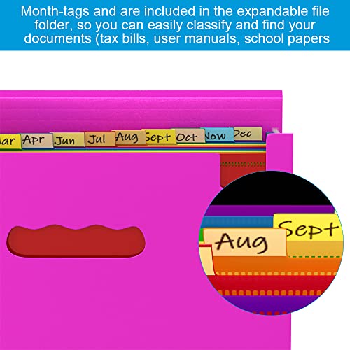 Cn1St Expanding File Folder With Sticky Labels, Accordian File Folders Organizer, Expandable Filing Folder For Documents Letter Size And A4 Size #TOP3