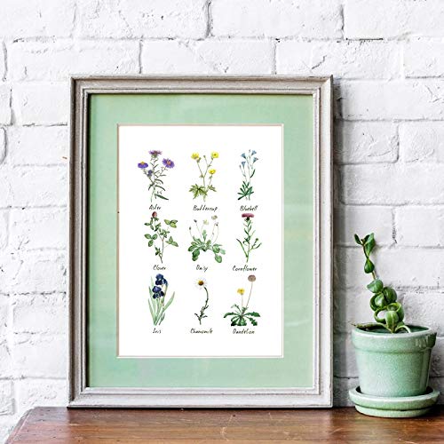 Toile de peinture Tableau botanique affiche d'art mural imprime herbes et épices photo herbier affiche moderne salon décoration de la maison Sans cadre