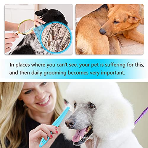 Cat Comb Dog Comb Fine Tooth Comb Pet Comb Grooming Set For Grooming And Removing Dandruff Flakes Remove Float Hair Tear Marks (Blue) #TOP2