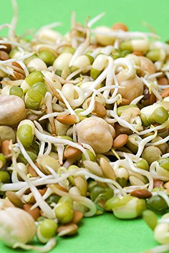 Hot Sprout Mix -