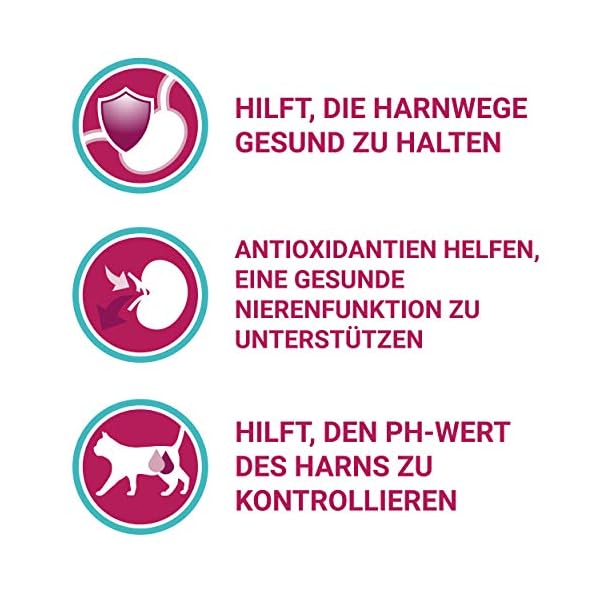 PURINA ONE BIFENSIS Urinary Care Katzentrockenfutter: reich an Huhn & Weizen, für gesunde Harnwege, Nieren, Haut, schönes Fell, 6er Pack (6 x 1.5 kg) – Bild 4