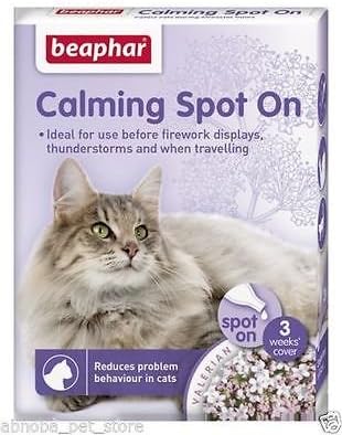 calming aid for cats