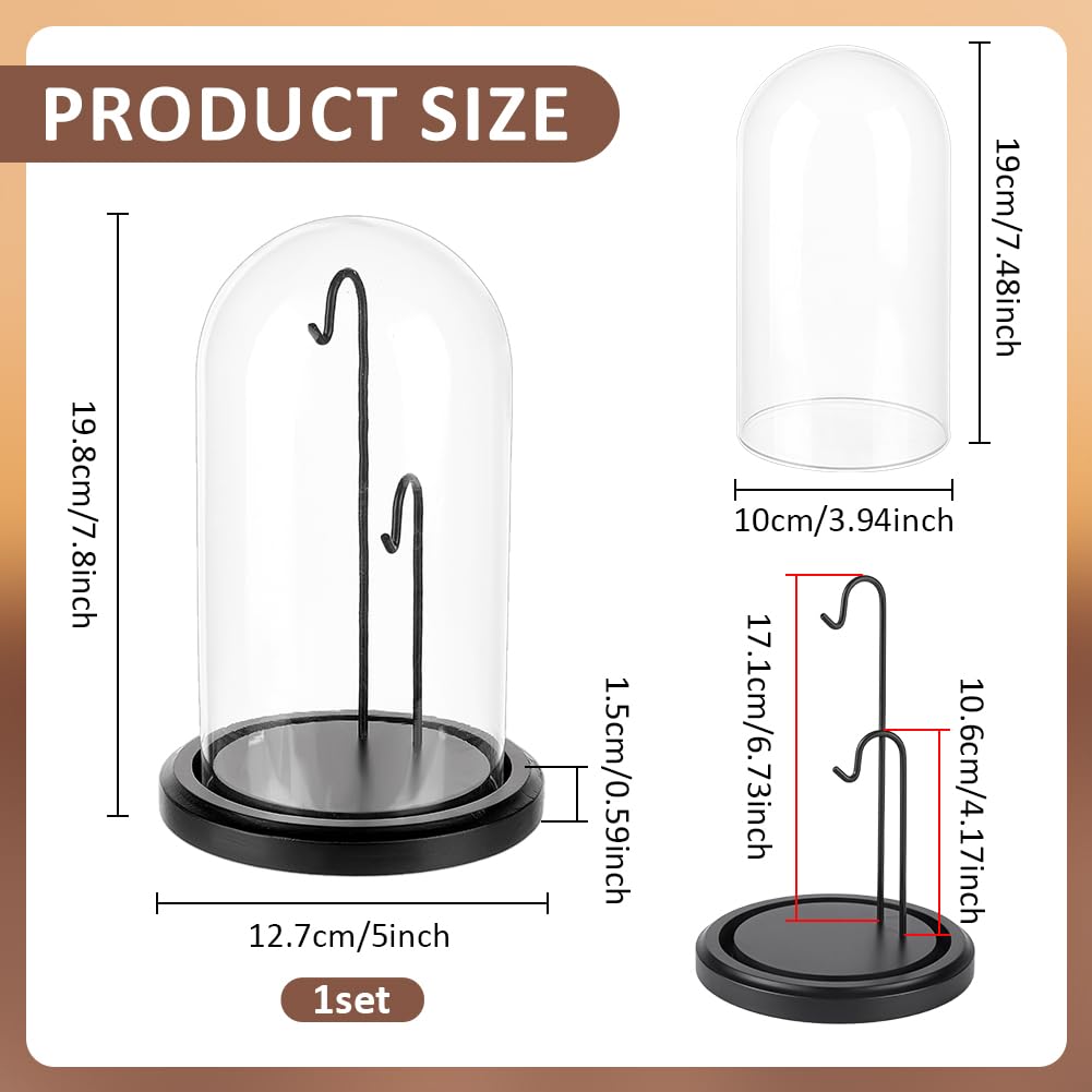 PH PandaHall 12.7x19.8cm Cloche en Verre d'Affichage Dôme de Présentation pour Montre de Poche avec Base en Bois et 2 Crochets pour Présenter Montres de Gousset, Bijoux, Médailles, Photos