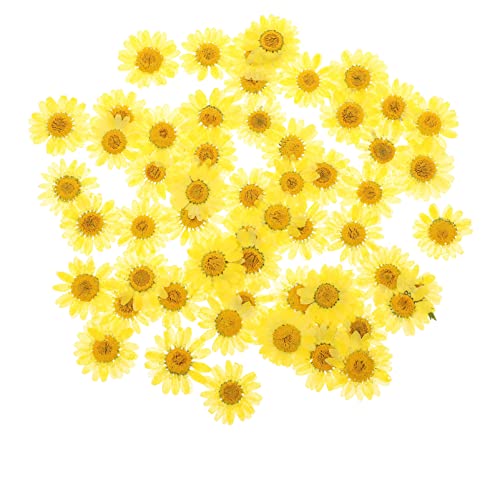 Anneome 60 Unidades Flores De Margaridas Secas Feitas à Mão Moldes De Vela Kit De Manicure Epóxi Flo