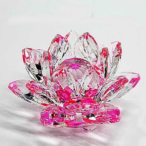 [TradeWind] NX^KX  @̉ [^X TLb`[  J^ CeA vY d  IuWF Mtg v[g (sN, 14cm)