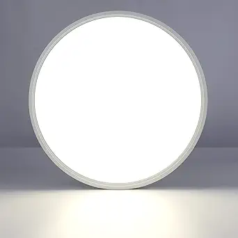 LightingWill 15.7 Inch LED Flush Mount Ceiling Light Fixture, 5000K Daylight White, 3800LM, 32W, Flat Modern Round Lighting Fixture, 320W Equivalent White Ceiling Lamp for Kitchens, Bedrooms.etc.