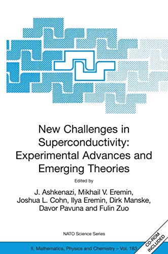 New Challenges in Superconductivity: Experimental Advances and Emerging Theories: Proceedings of the NATO Advanced Research Workshop, held in Miami, ... II: Mathematics, Physics and Chemistry, 183)