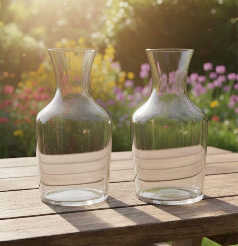 Image of Aradhya Enterprises Glass Vase, Flower Vase, Vessel, Money Plant Pot for Bedroom, Balcony, Home, Table and Office Decoration (Bottle Shape Pot) - Pack of 2 Piece, 7.5 Inches