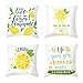 wehotewhe Lemon Summer Home Sofa Pokrowiec Dekoracyjna Poszewka na poduszkę Przyjaciele Poszewka na poduszkę (Wielokolorowa, jeden rozmiar)