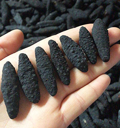 Dol Sun Dried Wild Caught Sea Cucumber,Black Pin Small-All Natural Nutritious 天然淡乾冰川小黑米海參 (Small 1Lb/Bag) #TOP12