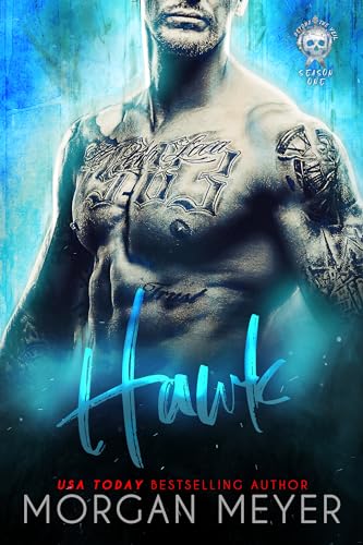 Hawk: a Fated Mates Shifter Romance (Beyond the Veil) (English Edition)