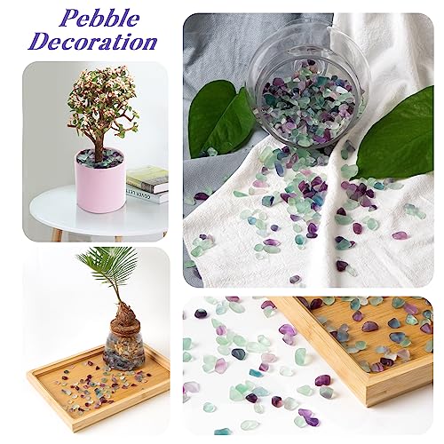 Image of QICQDRAM Polished Fluorite Gravel Rocks Bulk 1 Lb Natural Tumbled Crystal Chips Decorative Pebbles for Home Decoration & Fish Turtle Tank, Vase Filler, Plants Decor
