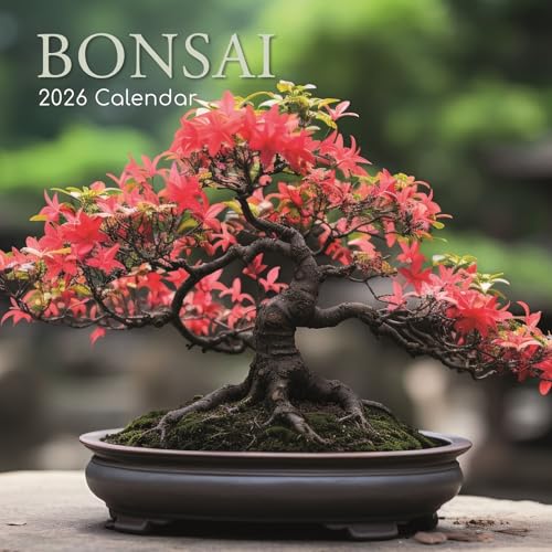 The Gifted Stationery 2026 Square Wall Calendar, Bonsai, 16-Month Floral Theme Hanging Calendar with...