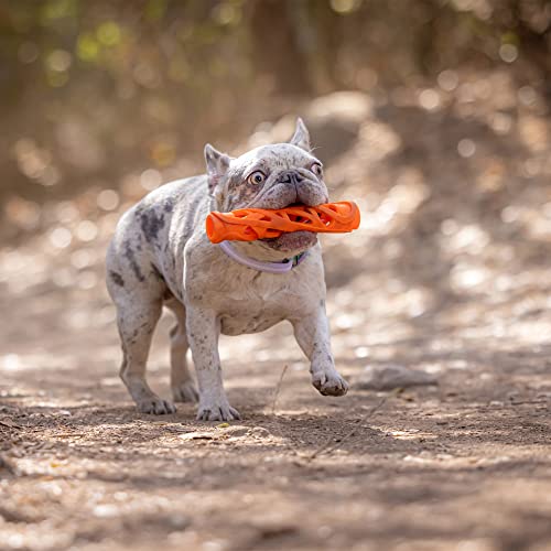 Chuckit! Cu32215 Breathe Right Stick Large, Bleib Dran Und Fange Hund, L