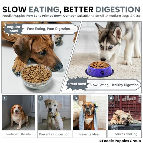 Image of Foodie Puppies Stainless Steel Dog Bowl Combo - (Medium, 700ml) Food and Water Feeding Gift Bowl | Suitable for Dogs, Cats and Other Pets I Paw Bone Print, Anti-Skid Rubber Base (Purple + White)