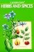 Herbs and Spices (Golden nature guides)