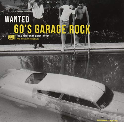 Wanted 60'S Garage Rock [Vinilo]