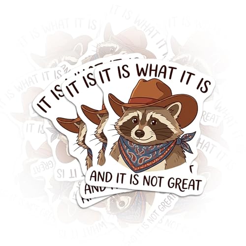 3 PCS Funny Raccoon Sticker, It What it is and