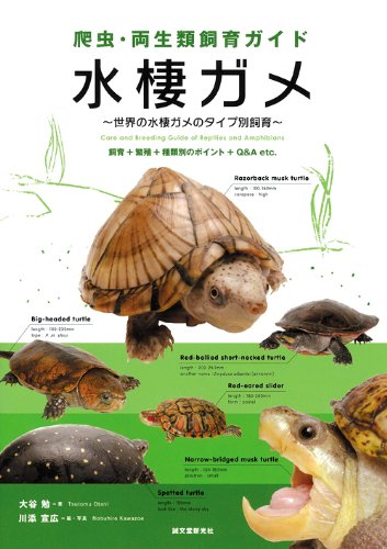 爬虫 両生類飼育ガイド 水棲ガメ 世界の水棲ガメのタイプ別飼育 飼育 繁殖 種類別のポイント Q A Etc 大谷 勉 宣広 川添 本 通販 Amazon