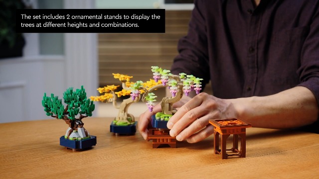 LEGO Botanicals Mini Bonsai Trees - Gingko, Black Pine & Wisteria