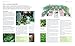 How to Create an Eco Garden: The Practical Guide to Sustainable and Greener Gardening