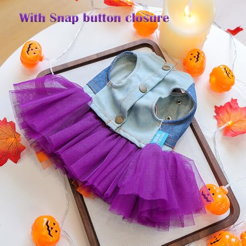 Vestido disfraz de Halloween para perro pequeño morado miniatura 4