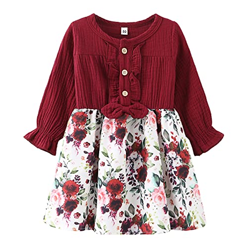 Toddler Baby Girls Long Sleeve Dresses Ruffle Floral Bowknot A Line Dress Sundress Fall Winter Ootfits Clothes