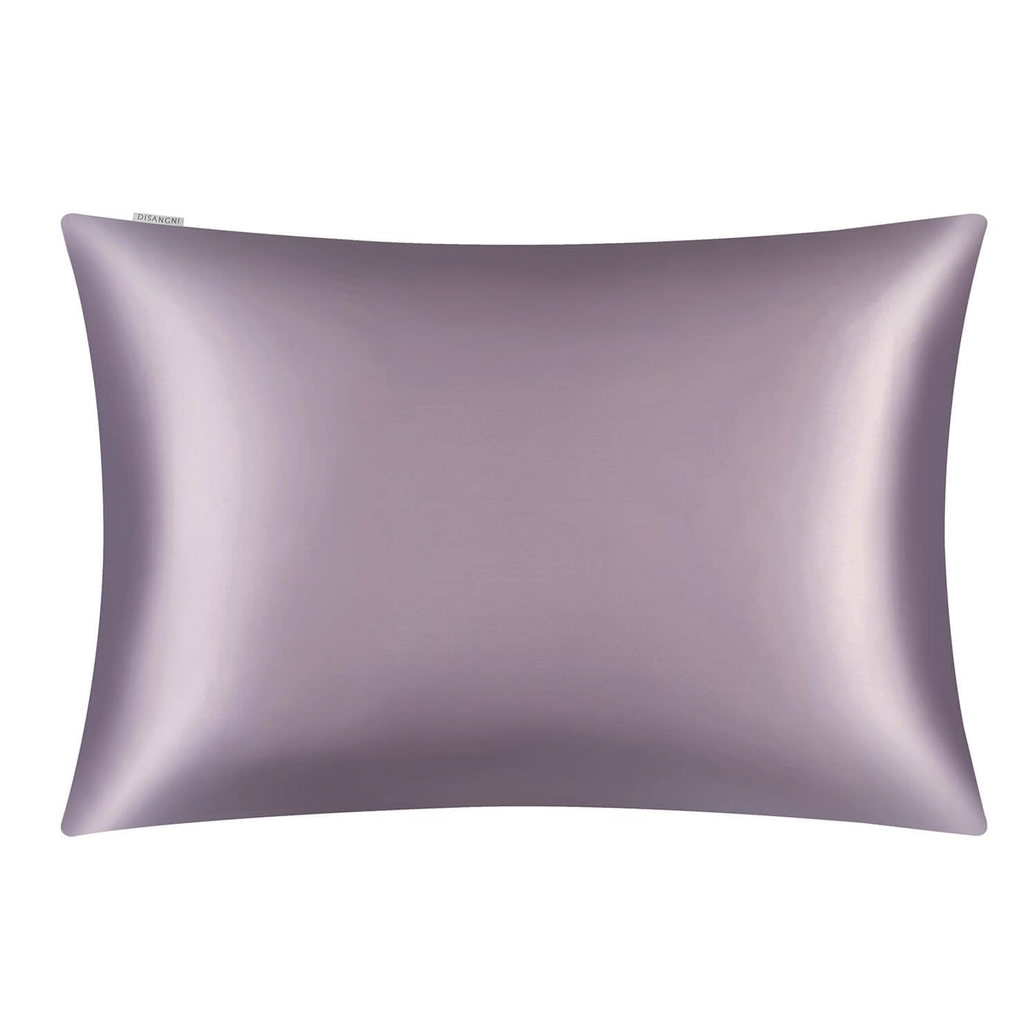 DISANGNI Funda de almohada de seda de morera 100% natural para cabello y piel, con cremallera oculta, 22 Momme en ambos lados, funda de almohada de seda real (2 piezas de tamaño estándar de 20 x 26