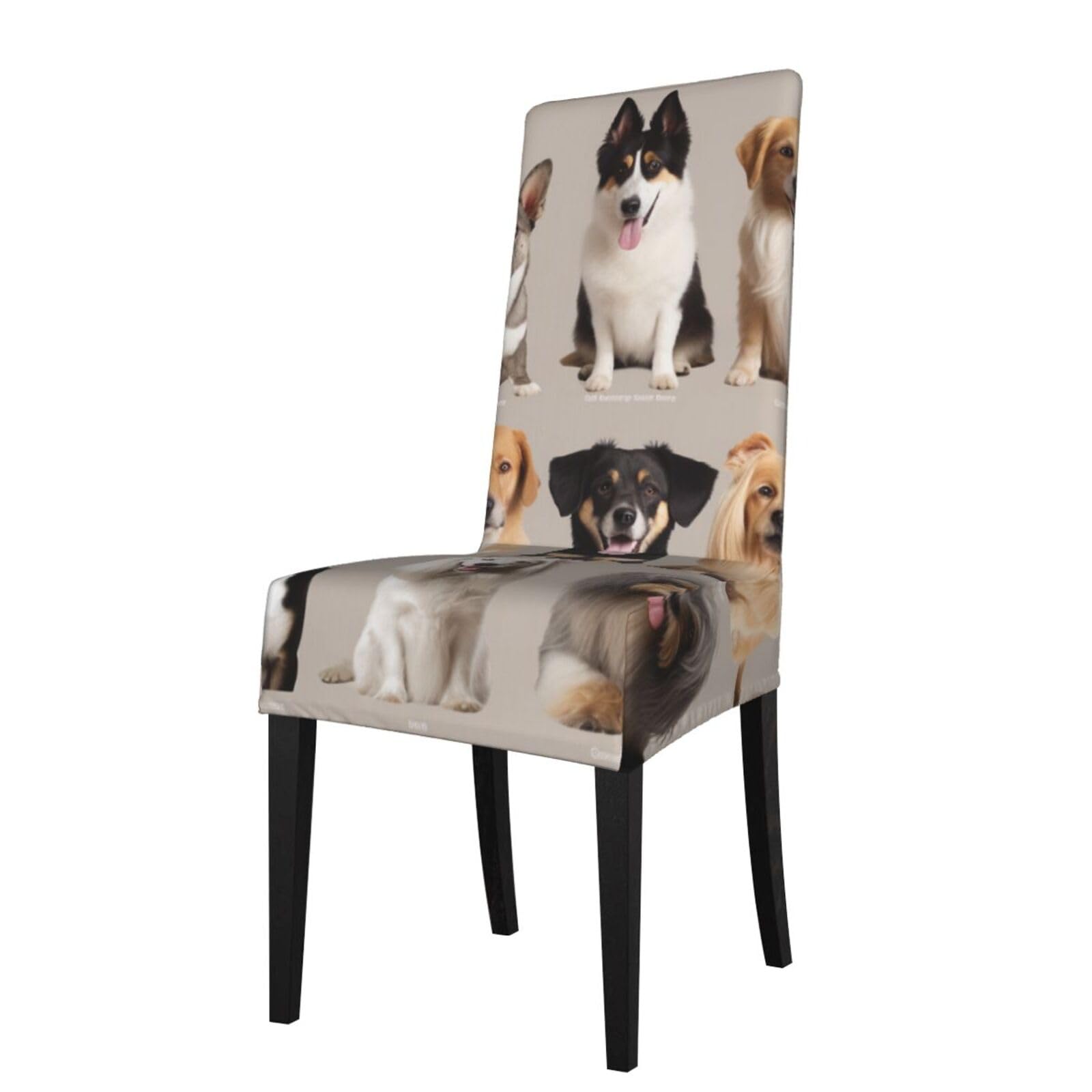 WPKJU Dog Breed Print Dining Chair Covers Removable Chair Seat Covers Decorative for Kitchen & Bar Stools