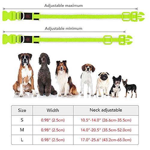 YFbrite Leuchtendes Hundehalsband, wiederaufladbares LED-Hundehalsbands, blinkendes verstellbares reflektierendes Hundehalsbands, Sicherheit leuchtet bei Nacht (Grün, S)
