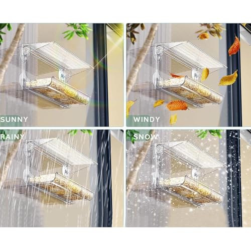 Mangeoire à fenêtre transparente pour oiseaux de compagnie et sauvages