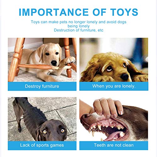 BESPORTBLE Cachorro Brinquedos Sibilantes 3Pcs Recheio Do Filhote de Cachorro de Brinquedo Para Roer