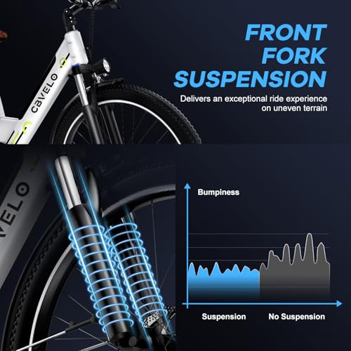 Electric Folding Mountain Bike