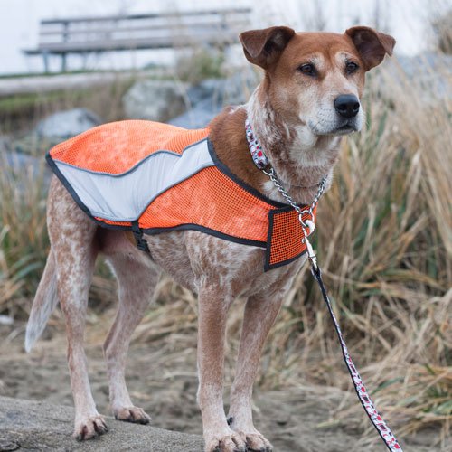 Canine Friendly High Visibility Dog Vest, X-Small #TOP1