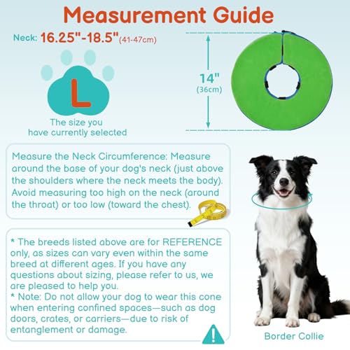 Image of Dog Cone, No-Inflation Sponge Donut Collar for Dogs After Surgery