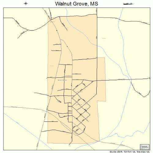 Large Street & Road Map of Walnut Grove, Mississippi MS Printed