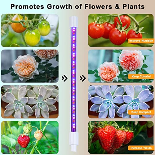 Suwitu Grow Lights For Indoor Plants, 6000K 144 Leds Clip On Grow Light Plant Growing Lamps For Succulents, Valentines Day Gifts For Plant Lovers, Auto 3/9/12H Timer, 3 Switch Modes,10-Level Dimmable #TOP5