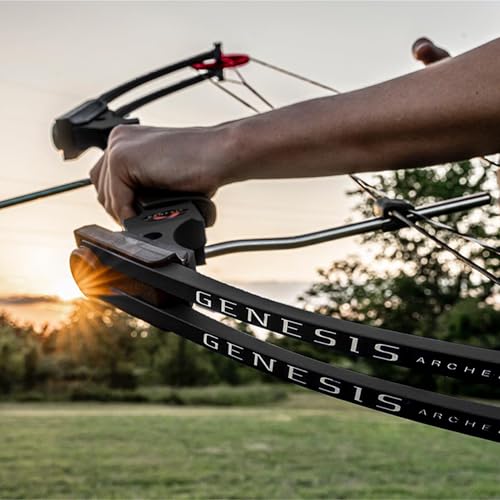 Compound Bow for Hunting High Speed