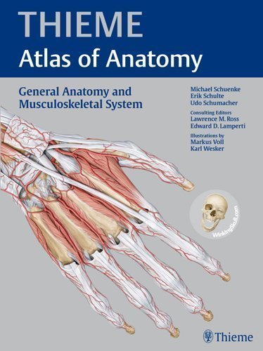 THIEME Atlas of Anatomy: General Anatomy & Musculoskeletal System (Thieme Atlas of Anatomy Series) of Schuenke, Michael, Schulte, Erik, Schumacher, Udo, Ross, Law 1 Pap/Psc Edition on 01 March 2010