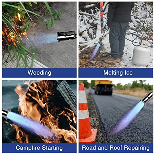 4Alltech Propane Weed Burner, Electric Pulse Ignition, 10Ft Hose And Stand, Csa Certified, Suitable For Weed Control, Snow And Ice Removal, Camp Fire Starting #TOP4