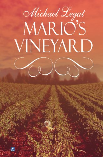 Mario's Vineyard view 2