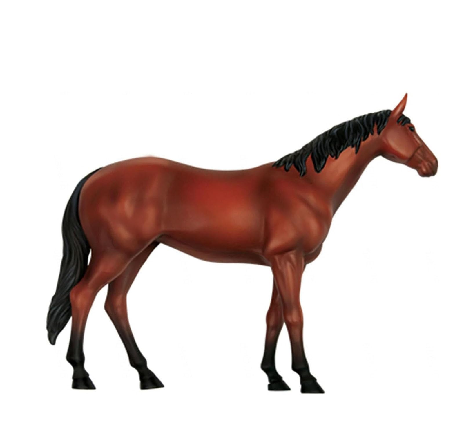 4D Caballo Anatomía Modelo - Animal Esqueleto Espécimen, Biología Desmontable, 26 Piezas para la Clínica de Mascotas Veterinaria FormaciónEscuela de Enseñanza Demostración