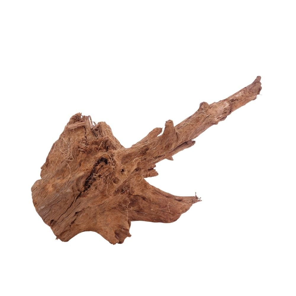 AquaOne Racine d'aquarium en bois véritable n° 4008 - Racine de mangrove - Décoration en bois naturel