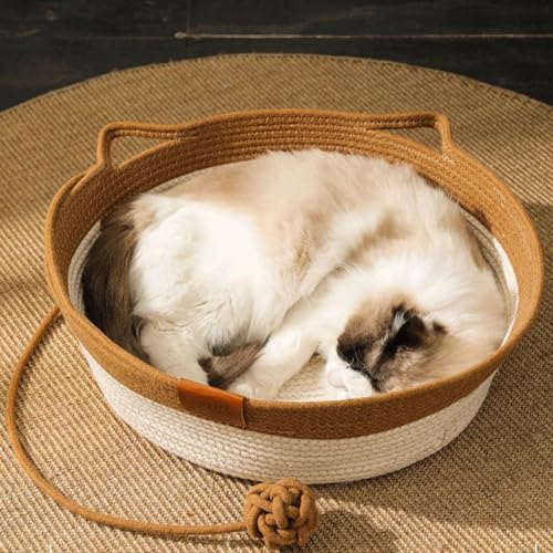 Panier pour chat pliable et tapis de couchage pour chiots et lapins