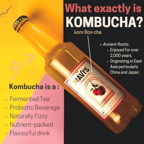 Image of MAVI's Assorted Pack of 10 Fermented Beverages | Kombucha, Water Kefir, Beet Kvass & Ginger Ale | Natural Probiotic Drinks for Gut Health | Refreshing 300 ml Bottles (Pack of 10)