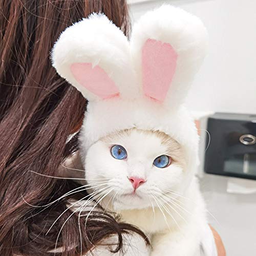 Ximishop cute costume bunny rabbit hat with ears for cats & small dogs party costume easter pet accessory headwear 6 Ximishop cute costume bunny rabbit hat with ears for cats & small dogs party costume easter pet accessory headwear - image 7