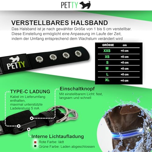 Petty Italia Verstellbares Hundehalsband aus Biothane mit LED, Nachtleuchtendes Halsband aus Biothane mit PVC und wiederaufladbarem Akku (Grün, L)