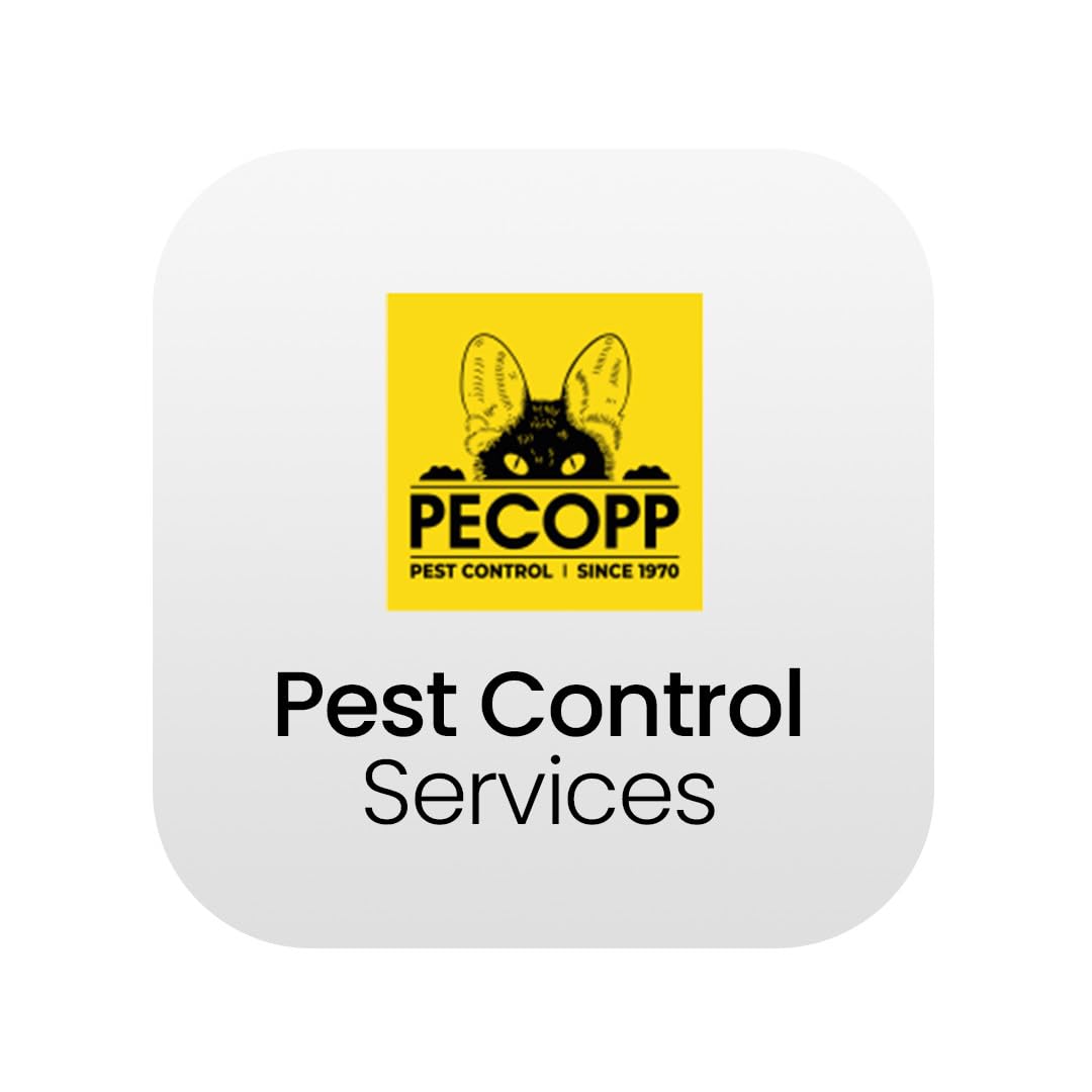 Pest Control Services 2BHK / Termite/ 1 Service Visit/ 1 Year AMC-picture-24
